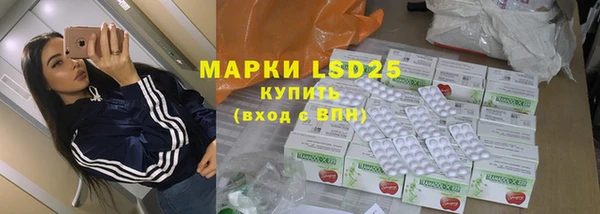 прущие грибы Нижневартовск