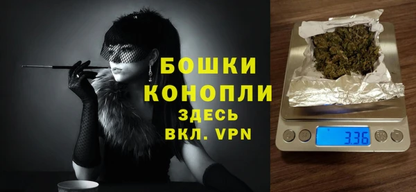 spice Аркадак
