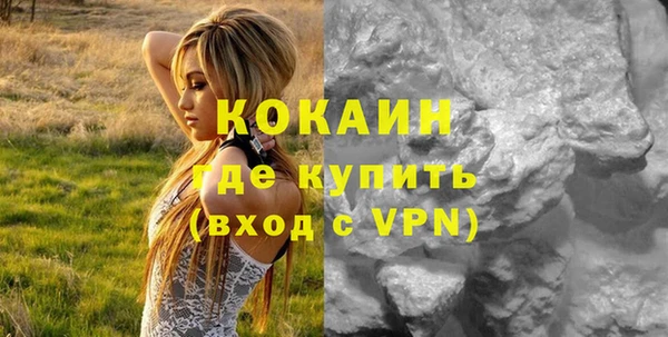 прущие грибы Нижневартовск