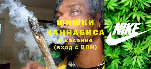 прущие грибы Нижневартовск