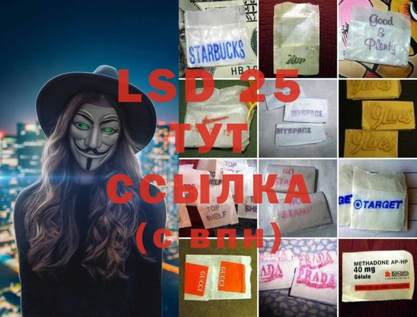 прущие грибы Нижневартовск