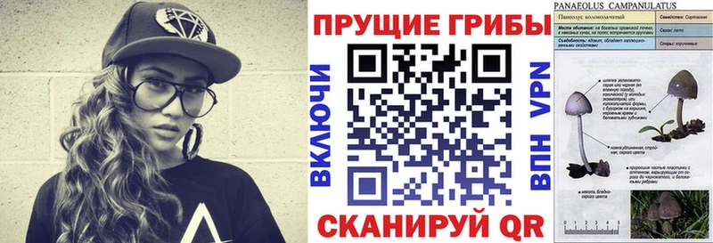 Галлюциногенные грибы ЛСД  Дмитриев 