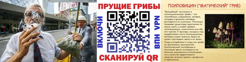 Галлюциногенные грибы MAGIC MUSHROOMS Дмитриев